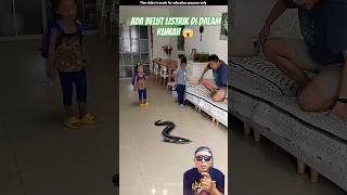 BELUT LISTRIK DI DALAM RUMAH ‼️ #funny #snake #cobra #comedy #trendingshorts #youtubeshorts