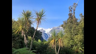 Day 20 - Franz Josef Village - 4K