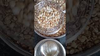 #shorts #timesavingtips #kitchentips #strainer #groundnutpeeling