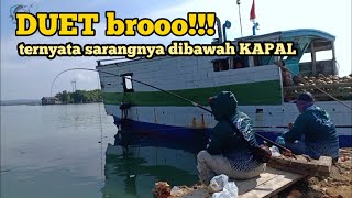 Mancing Baronang, ternyata sarangnya dibawah KAPAL