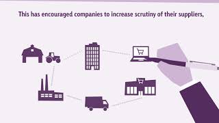 CPA UK Modern Slavery Project: 3. The Impact of Modern Slavery Legislation