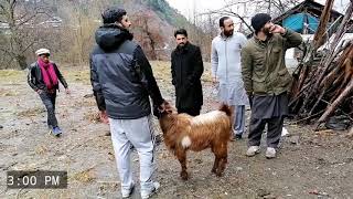 Most Beautiful Valley of Kashmir, Leepa Valley  VLOG