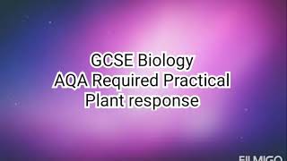 Plant Responses. GCSE Biology. Paper 1. AQA Required Practical.