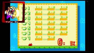 Super Mario Advance 1 Gameplay