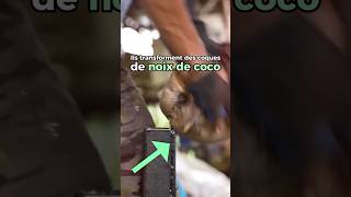 Ils transforment les coques de noix de coco en glacière