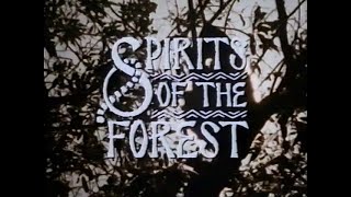 Spirits of the Forest (1987)