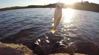 Fishing Crusoe Reservoir Bendigo - Nov 2016