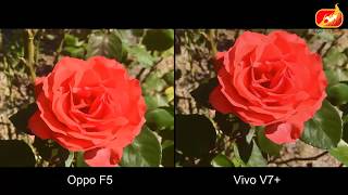 Oppo F5 Vs Vivo V7 Plus Camera Test Comparison