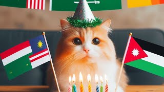 kucing Palestina ulang tahun