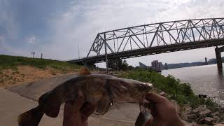 Bank Fishing ohio river 3.5 flathead 5-25-21