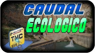 Caudal Ecológico