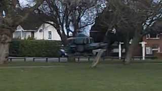 Windy day at the park