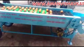 Orange tomato leman grading machine