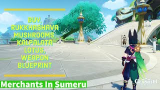 All Sumeru's Merchant Location - Buy, Rukkhashava Mushrooms, Kalpalata Lotus, Weapon Blueprint