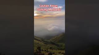 Pemandangan Lautan Awan di atas gunung merbabu