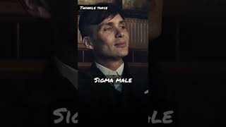 Alpha male vs Sigma Male personality #sigamarule #sigma #sigmamale alpha #alpha #rule