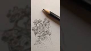 12 seconds pencil art #shorts