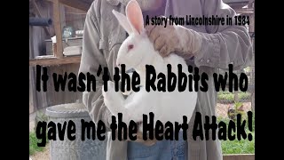 IT WASN'T THE RABBITS  WHO GIVE ME THE HEART ATTACK!              www.crackerbooks.fr