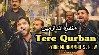 Tere Qurban Pyare Muhammad | Shahbaz Fayyaz Qawwal Badhomalhi Walay | 2024.