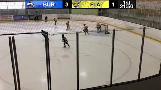 U8 Tier 1 Burlington Eagles VS Flamborough Sabres