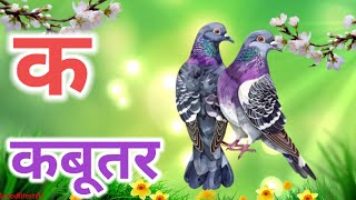 क ख ग घ || क से कबूतर ख से खरगोश || अ से अनार आ से आम || ka se kabutar kha se khorgosh || a se anar