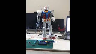 Moving Gundam RX-78-2