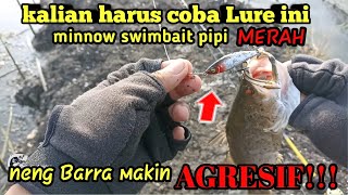 Ultralight Casting Barramundi‼️Tambak Sedari