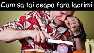 Cum să nu plângi atunci când tai ceapă?! | Fapte la întâmplare #21