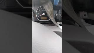 2006-2010 Hyundai sonata speedometer-cluster removal Part 2