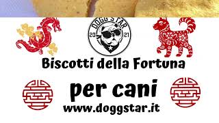 Biscotti della Fortuna per Cani