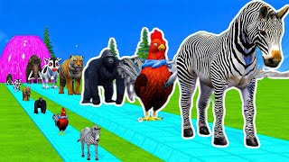 Paint & Animals Cow,Gorilla,Elephant,Giraffe,Tiger,Lion, Fountain Crossing Transformation Cartoon