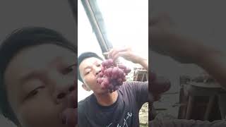 #shorts Cara makan buah anggur 1kg @ADE CRAZY