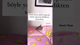 Bana sor😪 #sessizyazar #shorst #keşfet #öneçıkar #tatil #haftasonu #yalnızlık #cat #kedi #uyku#dünya