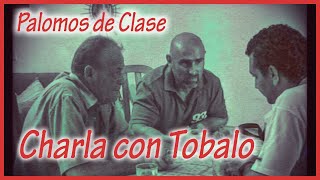 PALOMOS DE CLASE.- (Entrevista Tobalo)