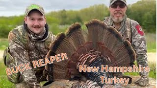 Spring Turkey in New Hampshire - Buck Reaper