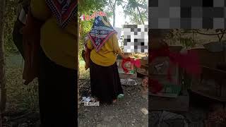 mini flog kegiatan aku setiap sore di rumah Mamer #ngapak #brebes