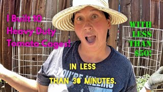 How To Make 10 Heavy Duty Tomato Cages For Less Than $50 & In Less Than 30 Minutes 🍅