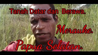 Rawa Papua Merauke Laut Dangkang.