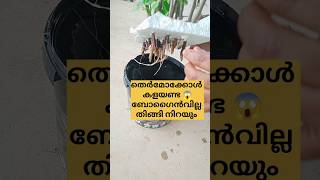 തെർമോക്കോൾ കളയണ്ട തിങ്ങി നിറയും /poppy vlogs