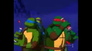 Teenage Mutant Ninja Turtles