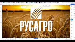 Обзор акции РУСАГРО.