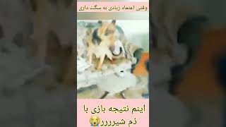 وقتی ادین عصبانیه #shorts #funny