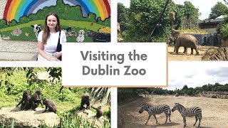 Visiting the Dublin Zoo for the first time | MoreMartasLife