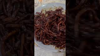 Pancit tostado raw vid #vlog #love #yummy #foodie