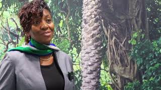 The role of Tourism in the economy of Sierra Leone   Mrs Nabeela F  Tunis, Minister of Tourism