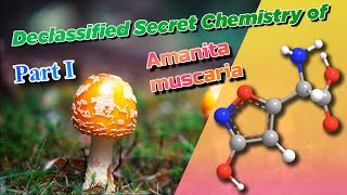 Secret Chemistry of Hallucinogenic Amanita Muscaria, Trilogy Part1 - The Origin