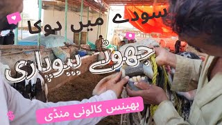 sody ma dhoka /bhains colony mandi 2022 rate updates