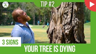 YOUR TREE IS DYING! - SIGN #2 - SHANE'S TREES