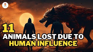 11 Animals Lost Due to Human Influence! | @Mythosfact