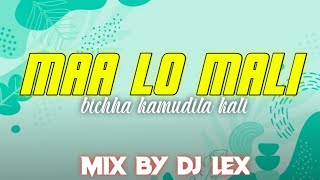 MAA LO MALI BICHHA KAMUDILA KALI - DJ LEX